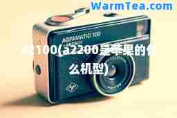 a2100(a2200是苹果的什么机型)