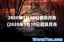 2020年3月10日超级月亮(2020年3月10日超级月亮图片)