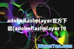 adobeflashplayer官方下载(adobeflashplayer10.1安卓版下载)