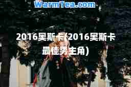2016奥斯卡(2016奥斯卡男主角)