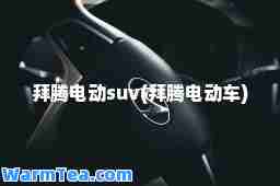 拜腾电动suv(拜腾电动车)