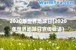 2020年世界地球日(2020年世界地球日宣传标语)