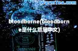 bloodborne(bloodborne是什么意思中文)