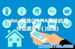 cdma网络(CDMA网络的寻呼信道属于( )信道)