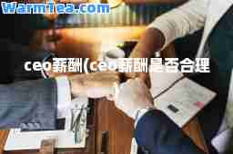 ceo薪酬(ceo薪酬是否理)
