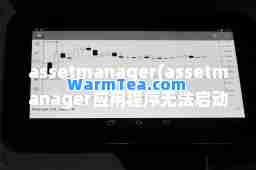 assetmanager(assetmanager应用程序无法启动)