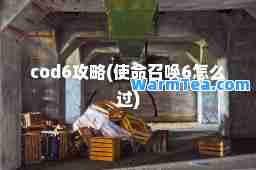 cod6攻略(使召唤6怎么过)