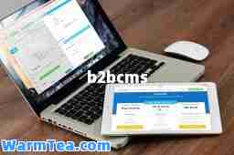 b2bcms