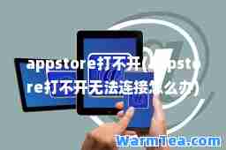 appstore打不开(appstore打不开无法连接怎么办)