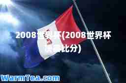 2008世界杯(2008世界杯决赛比分)