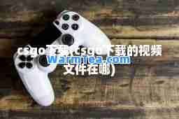 csgo下载(csgo下载的视频文件在哪)
