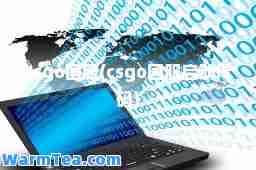 csgo国服(csgo国服启动代码)