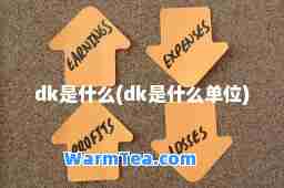 dk是什么(dk是什么单位)