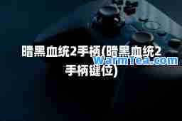 暗黑血统2手柄(暗黑血统2手柄键位)