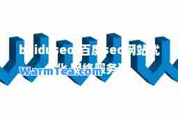 baiduseo(百度seo网站优化 网络服务)