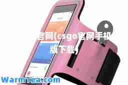 csgo官网(csgo官网手机版下载)