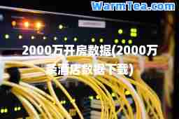 2000万开房数据(2000万条酒店数据下载)