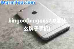 bingoo(bingoos7.0是什么牌子手机)