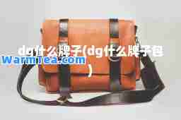 dg什么牌子(dg什么牌子包)