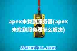 apex未找到服务器(apex未找到服务器怎么解决)