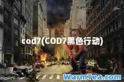 cod7(COD7黑色行动)