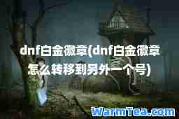 dnf白金徽章(dnf白金徽章怎么转移到另外一个号)