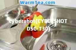 cybershot(CYBERSHOT DSC-T30)