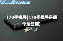 170手机号(170手机号是哪个运营商)