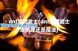 dnf黑暗武士(dnf黑暗武士走物理还是魔法)