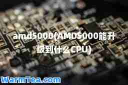 amd5000(AMD5000能升级到什么CPU)