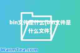 bin文件是什么(bin文件是什么文件)