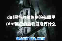 dnf黑色的魔物庭院在哪里(dnf黑色的魔物庭院有什么用)