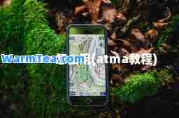 atma怎么用(atma教程)