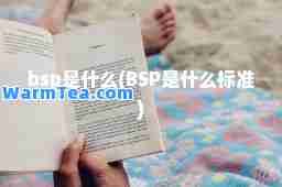 bsp是什么(BSP是什么标准)