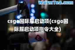 csgo服启动项(csgo服启动项指令大全)