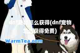 dnf宠物怎么获得(dnf宠物怎么获得免费)