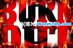 bo3(博3是什么游戏)