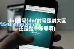 dnf封号(dnf封号是封大区还是整个账号啊)