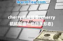 cherry机械键盘(Cherry机械键盘一些超美形态)