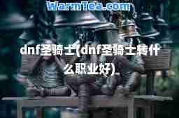 dnf圣骑士(dnf圣骑士转什么职业好)