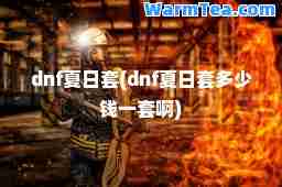 dnf夏日套(dnf夏日套多少钱一套啊)
