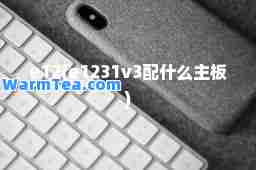 e12(e1231v3配什么主板)