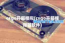 csgo开箱模拟(csgo开箱模拟器软件)