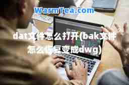 dat文件怎么打开(bak文件怎么恢复变成dwg)