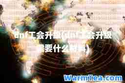 dnf工会升级(dnf工会升级需要什么材料)