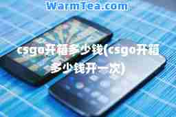 csgo开箱多少钱(csgo开箱多少钱开一次)