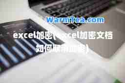 excel加密(excel加密文档如何取消加密)