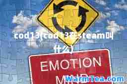 cod13(cod13在steam叫什么)