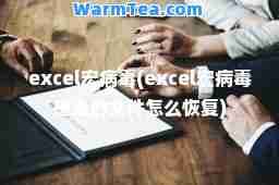 excel宏病毒(excel宏病毒感染的文件怎么恢复)
