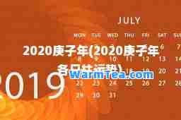 2020庚子年(2020庚子年各日柱运势)